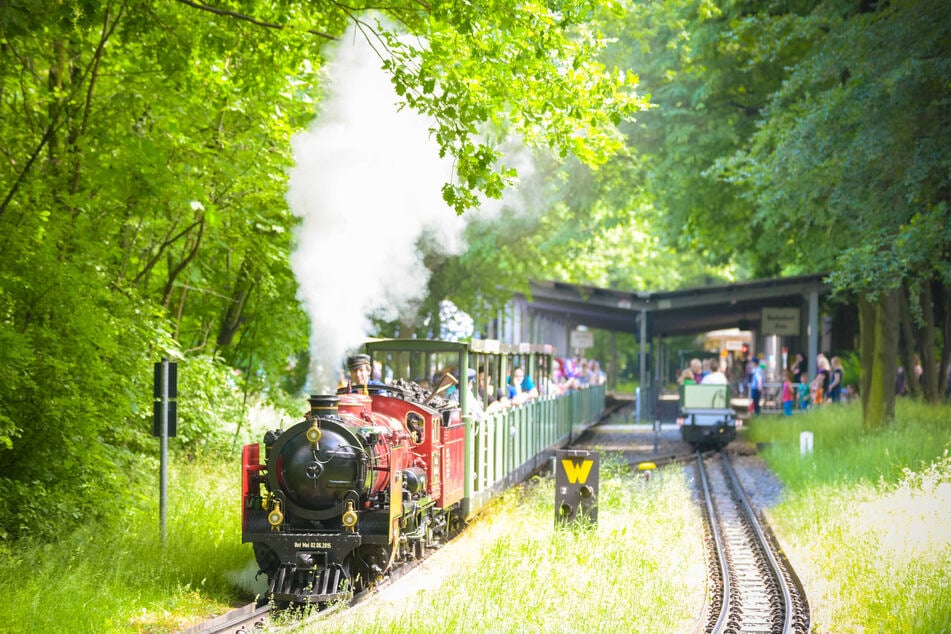 Tut, tut: Die Parkeisenbahn rauscht auch in diesem Sommer wieder durch den Großen Garten.