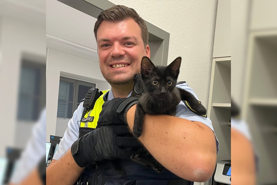 Mehrere Polizisten entschieden sich, den noch jungen Findling mitzunehmen.