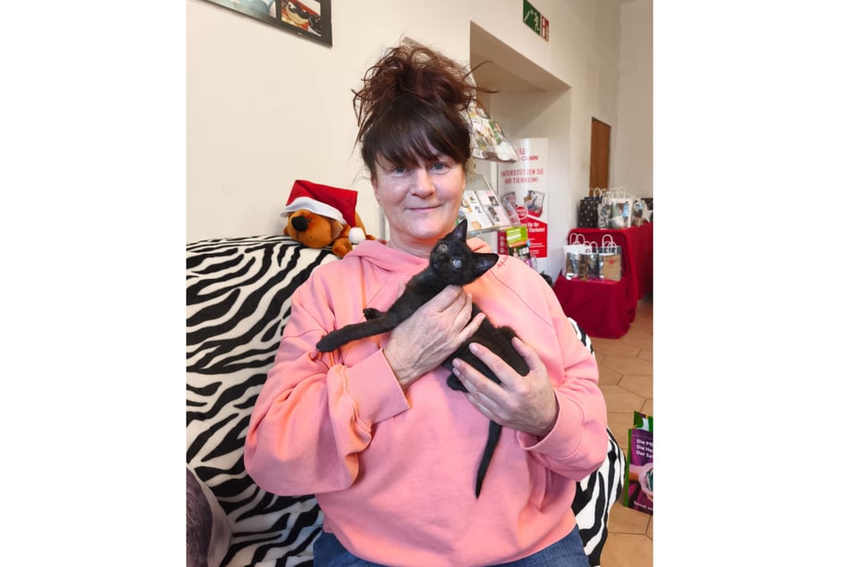 Susann Scheibner (54) im Tierheim Waldfrieden Stollberg mit Kater Willow.