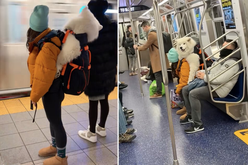 In der U-Bahn zieht Lumi alle Blicke auf sich.