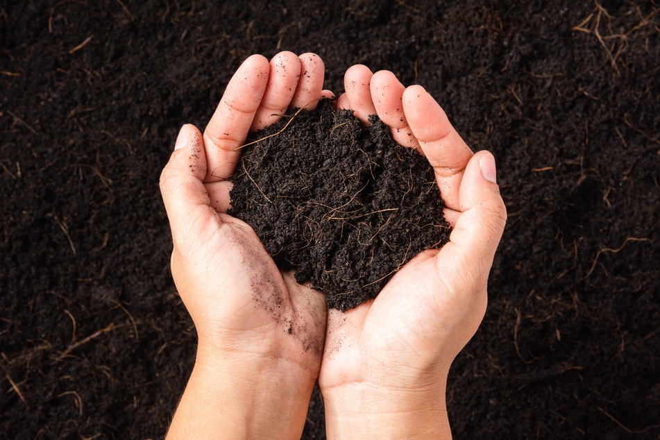 In nur kurzer Zeit wird Dein Bioabfall zu Mulch, Dünger und nährstoffreicher Komposterde.