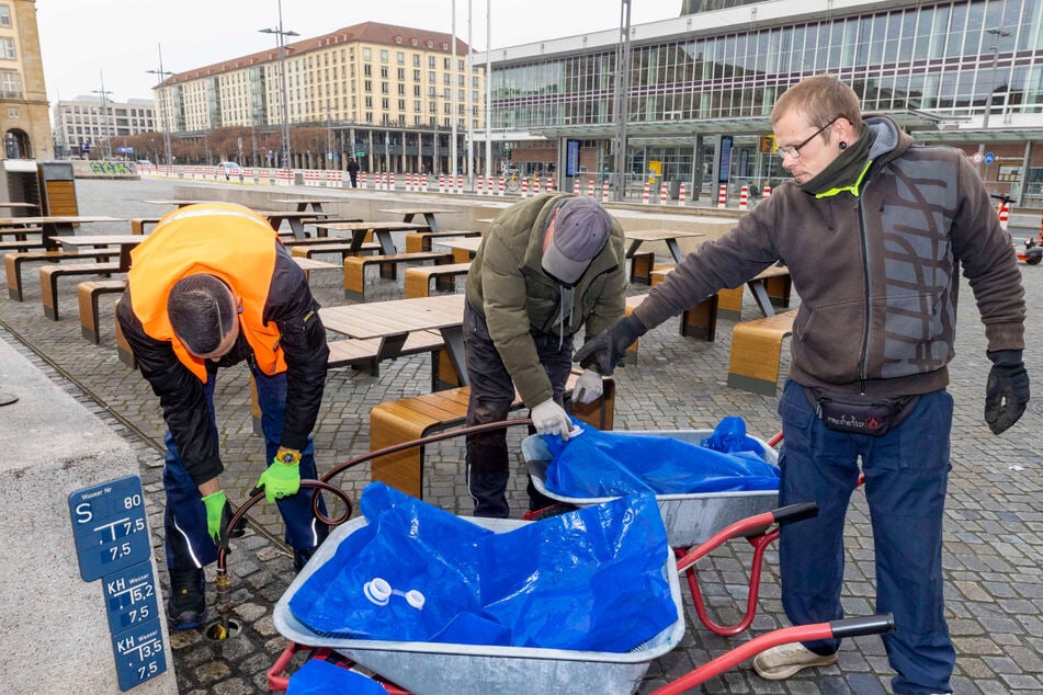 Dresden: Schubkarre statt Absturz: Wie Dresdens "Chancenlose" der Stadt helfen