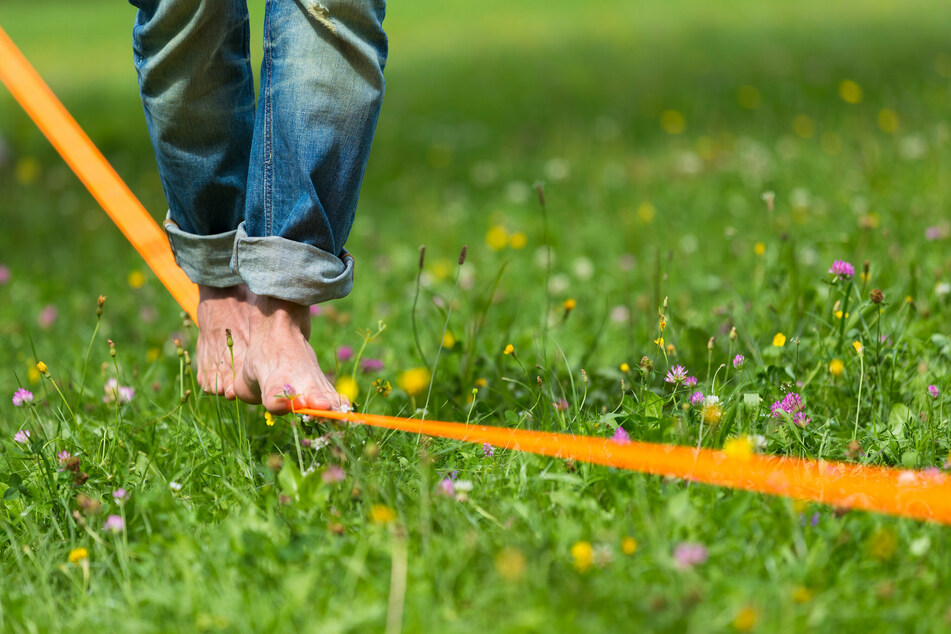 Beim Highline- und Familienfest in Hohnstein kann man selbst lernen, auf Slacklines zu laufen.