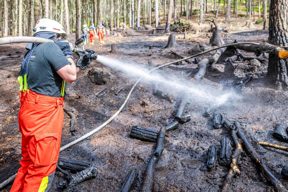Waldbrände in Ostsachsen: Feuerwehr an mehreren Orten im Einsatz!