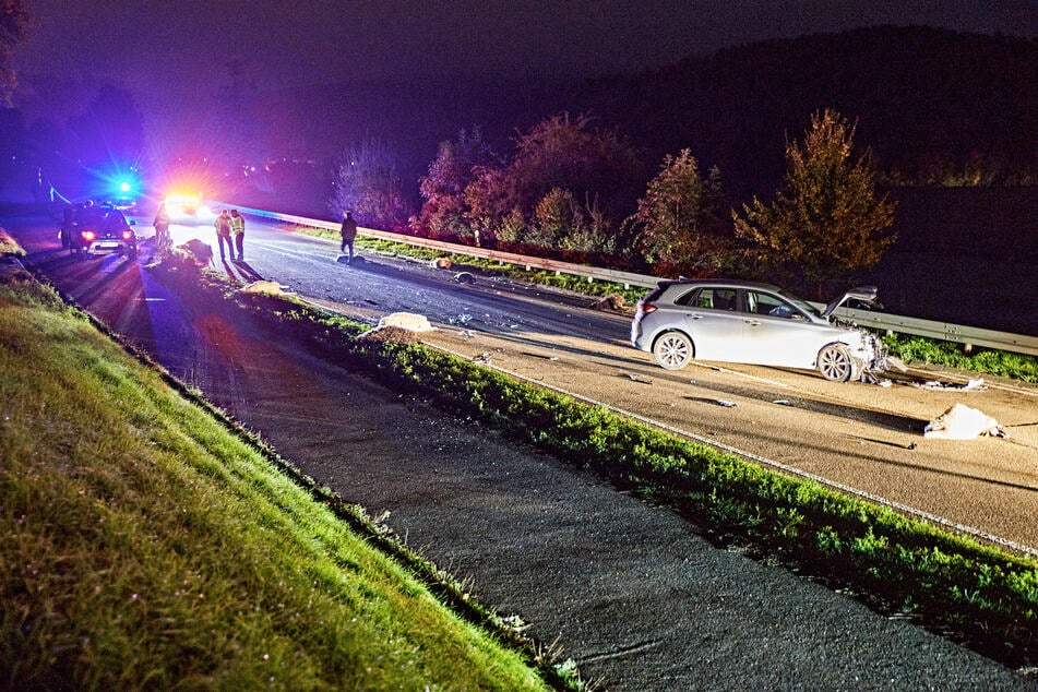 Autofahrer rast in Schafsherde: Zahlreiche Tiere sterben auf Bundesstraße