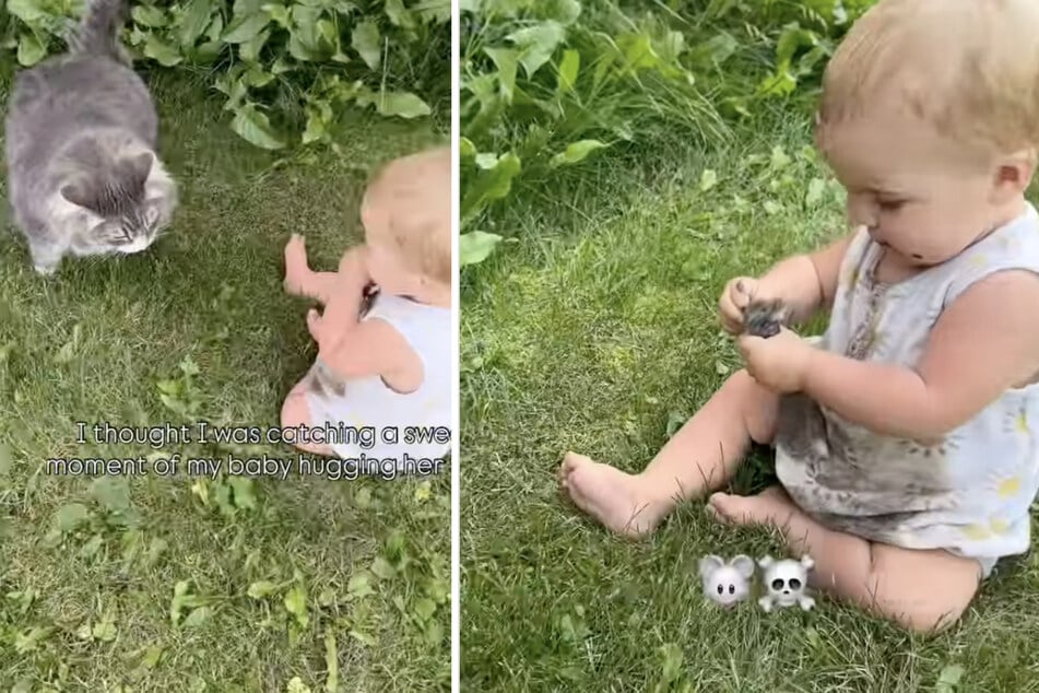 Eine Mutter aus Kanada dachte, sie würde einen niedlichen Moment zwischen ihrer Tochter und der Katze filmen. Die Wahrheit sah aber anders aus.