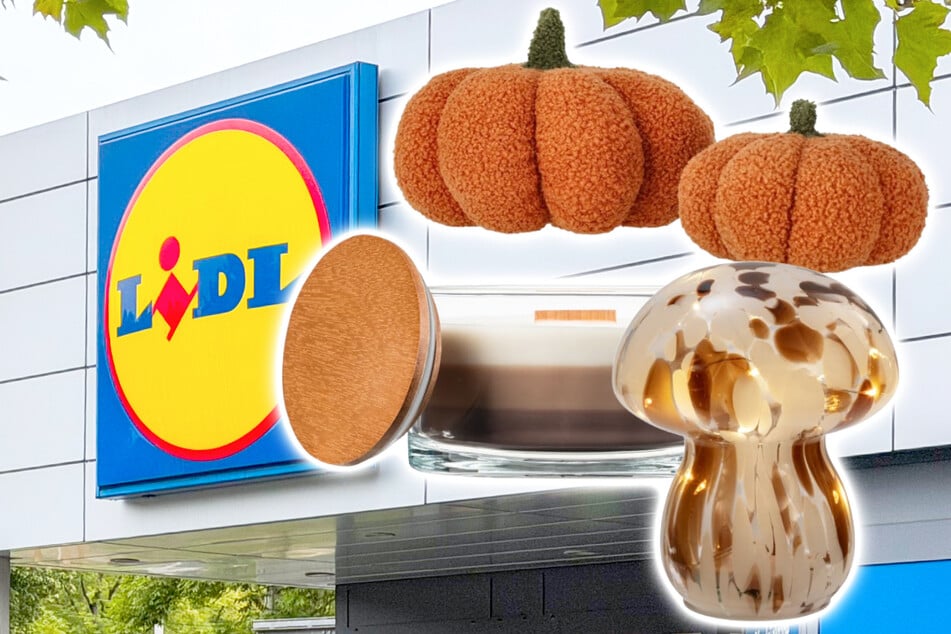 Diese schöne Herbstdeko gibt's ab Donnerstag (3.9.) bei Lidl