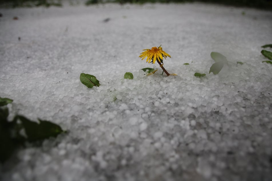 Da war der Frühling kurzzeitig wieder vorbei.