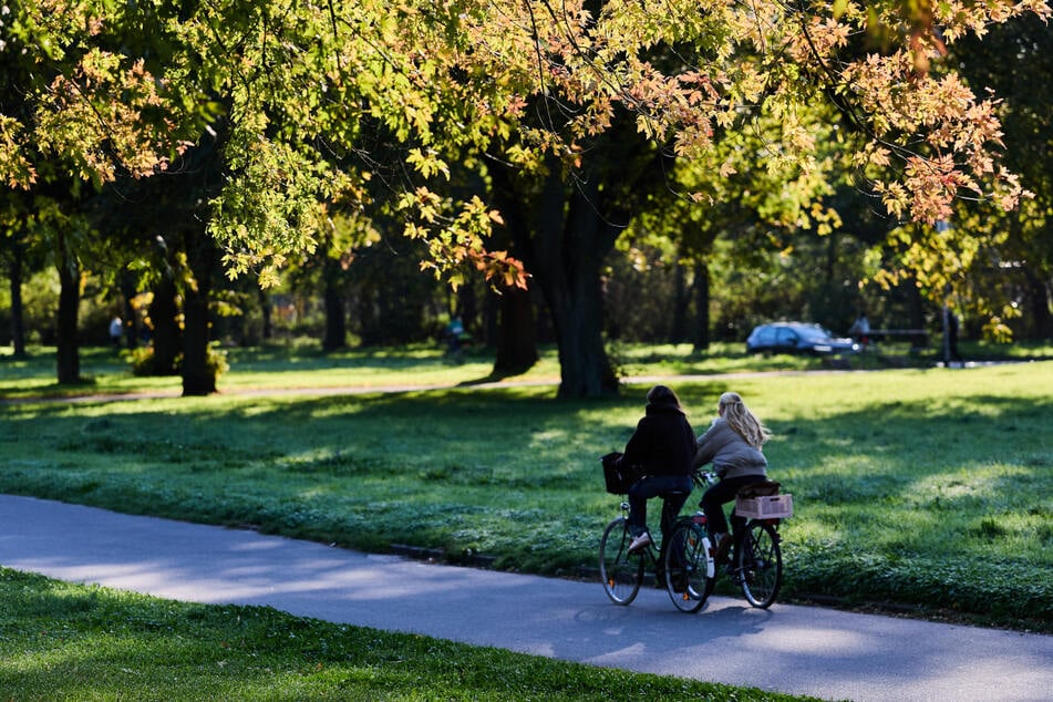 Die Menschen in NRW dürfen sich weiterhin über einen goldenen Herbst mit viel Sonne und milden Temperaturen freuen. (Symbolfoto)