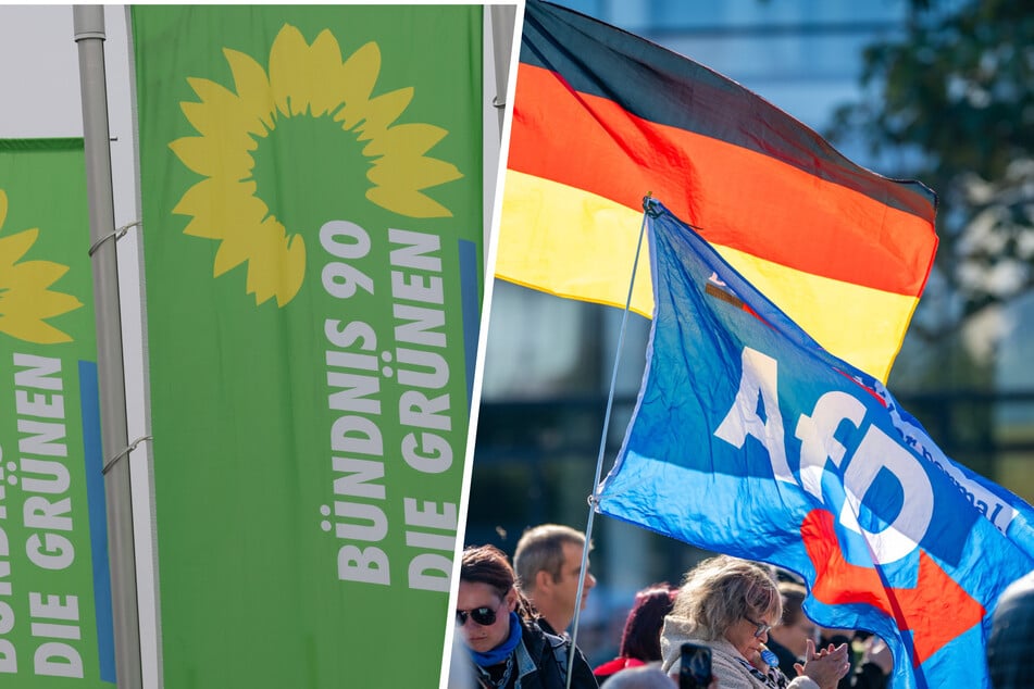 Wähler von AfD und Grünen: Studie offenbart undemokratische Gemeinsamkeit
