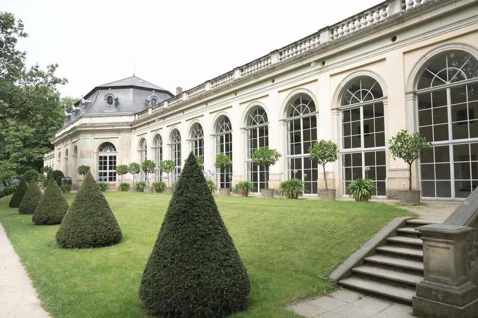 In der Pillnitzer Orangerie werden am Sonntag tolle Blumenwerke ausgestellt.