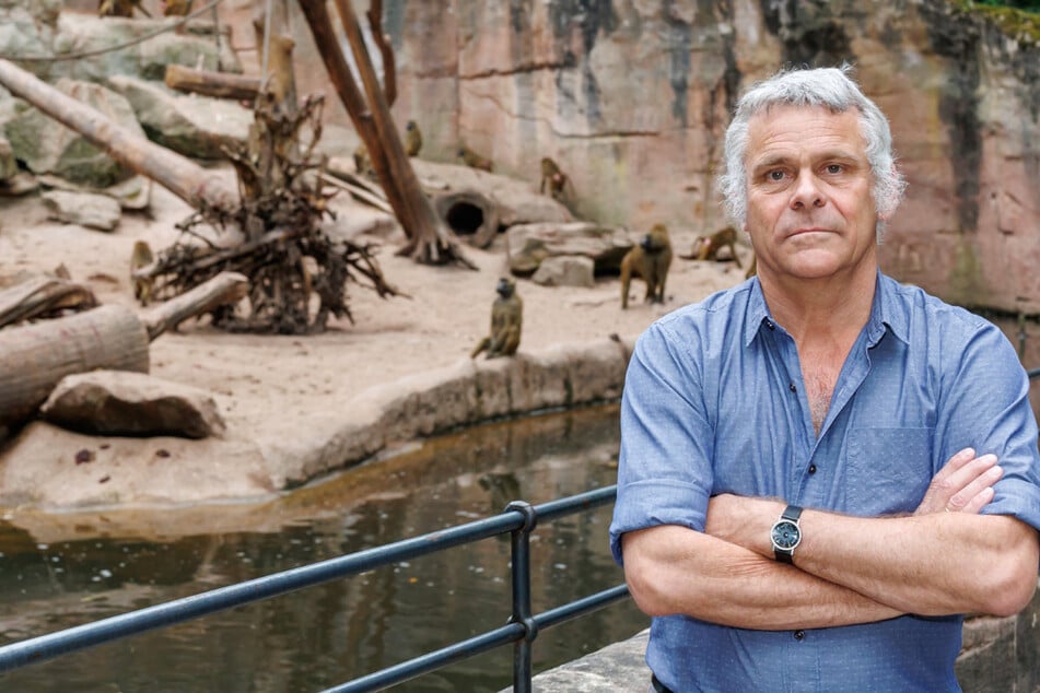 Der Zoo-Chef sieht es als seine Verantwortung, Tieren in den Gehegen einen sicheren Zufluchtsort zu geben – was manchmal mit Opfern verbunden ist.