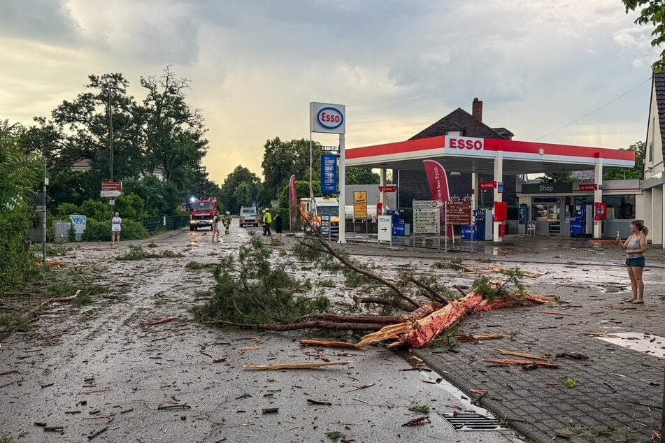 In Stutensee wurden Anwohner am frühen Sonntagmorgen durch einen lauten Knall geweckt: Ein Blitz schlug in einen Baum ein und sprengte ihn förmlich.