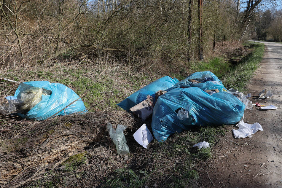 Müll in der Natur: Die Zahl der Umweltdelikte nahm im Raum Chemnitz zu.