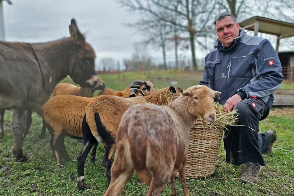 Jan Zeidler (51) hält seit sechs Jahren Schafe. Erfahrungen mit einem Wolfsriss hatte er noch nicht.