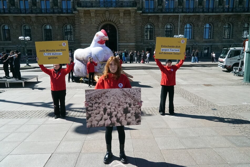 Am Hamburger Rathausmarkt fand am Dienstagmittag eine Aktion von "Vier Pfoten" statt.