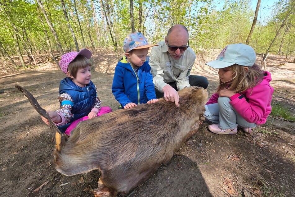 Naturschutz-Experte Bodo Pietsch (62) zeigt den Kindern ein echtes Biberfell.