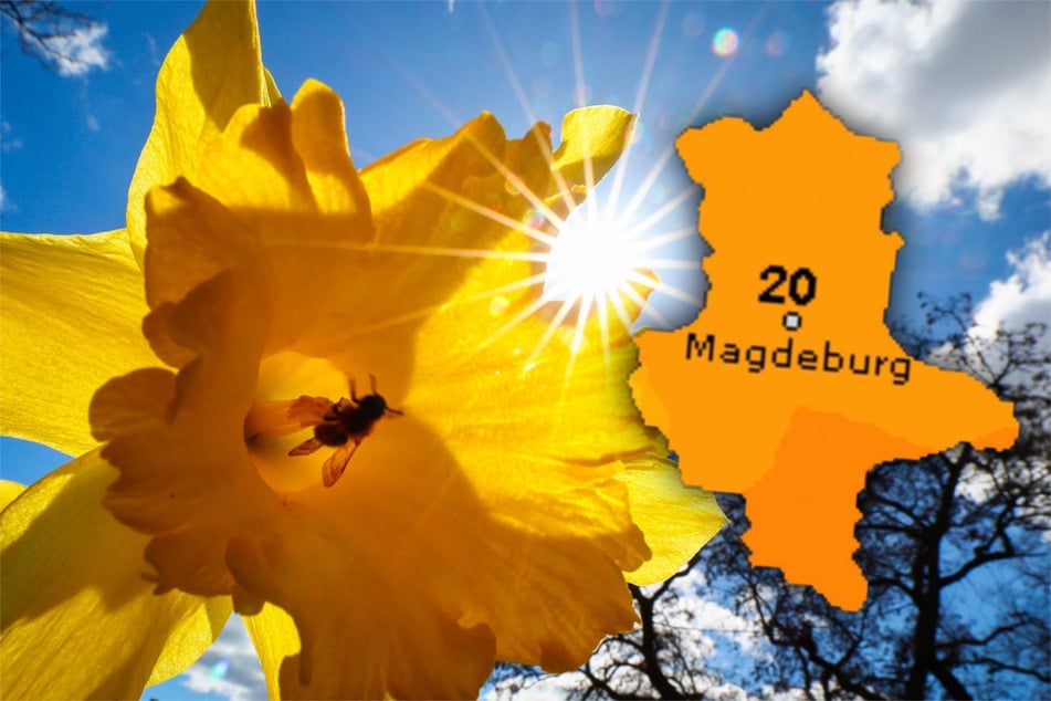 Bereits am Freitag werden Höchsttemperaturen bis 20 Grad erreicht. (Symbolbild)