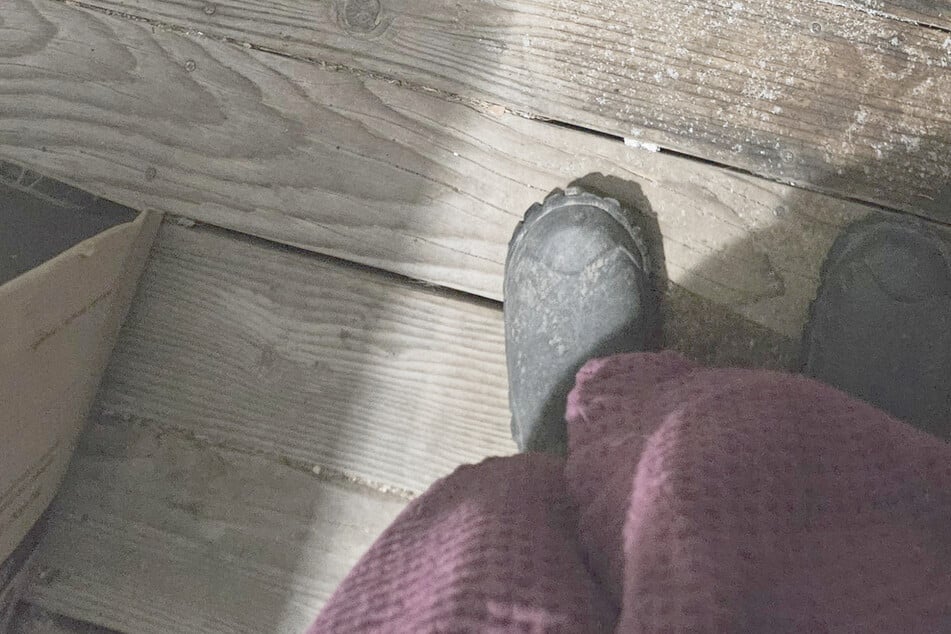 Frau wacht früh in der Wildnis auf: Was sie auf ihrer Veranda entdeckt, jagt ihr einen Schauer über den Rücken