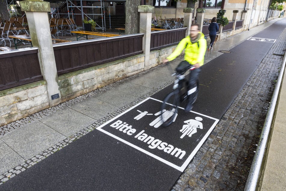 Auf dem Elberadweg kann man solche Piktogramme längst finden.