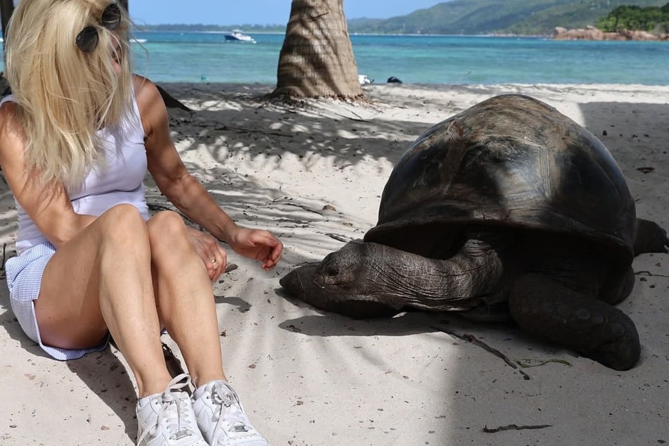 Uta Bresan (60) lässt die Riesenschildkröte ganz nah an sich herankommen.