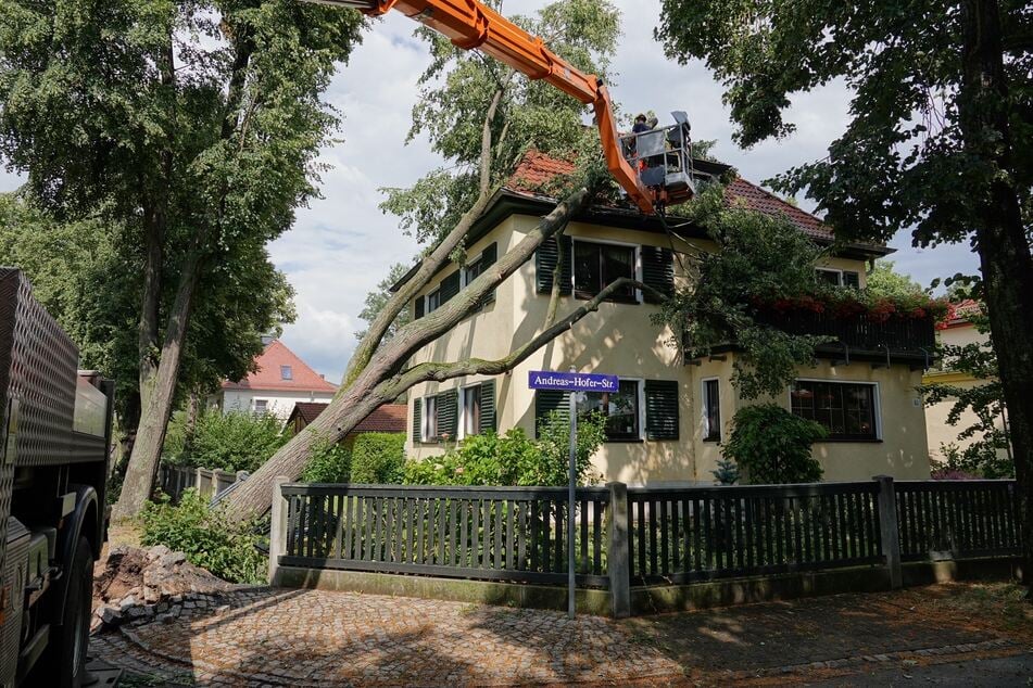 Auf der Andreas-Hofer-Straße krachte ein Baum auf ein Mehrfamilienhaus.