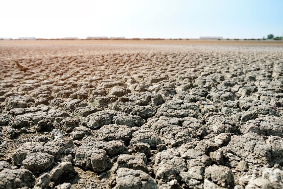 Bereits in zahlreichen Regionen herrscht Dürre, eine extreme Hitze und Wassermangel. (Symbolfoto)