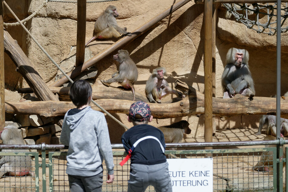 Mit einem negativen Test könnten die Menschen in den betroffenen NRW-Kommunen wieder mit Termin in den Baumarkt, in Geschäfte oder in den Zoo gehen. (Archivbild)