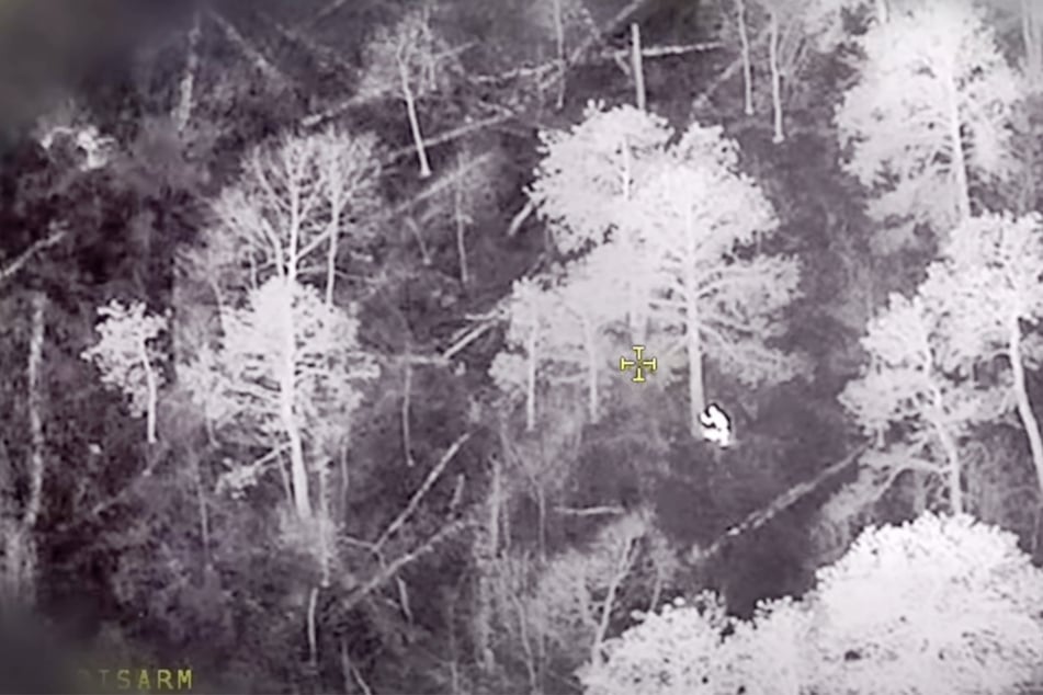 Mithilfe einer Wärmebildkamera konnte der 17-Jährige schlussendlich ausfindig gemacht werden.