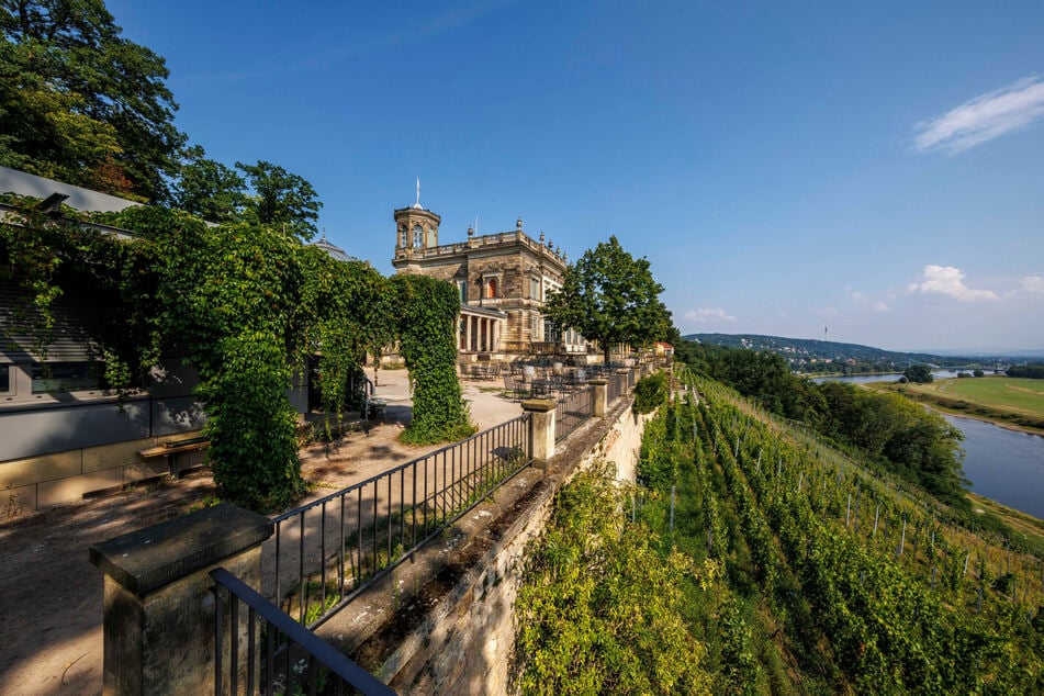 Nun steht das Lingnerschloss im Fokus des Stadtrats.