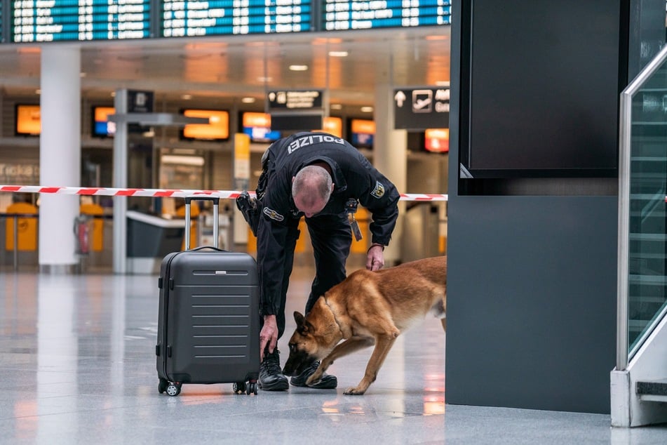 Ein Sprengstoffspürhund der Bundespolizei untersucht den Koffer.