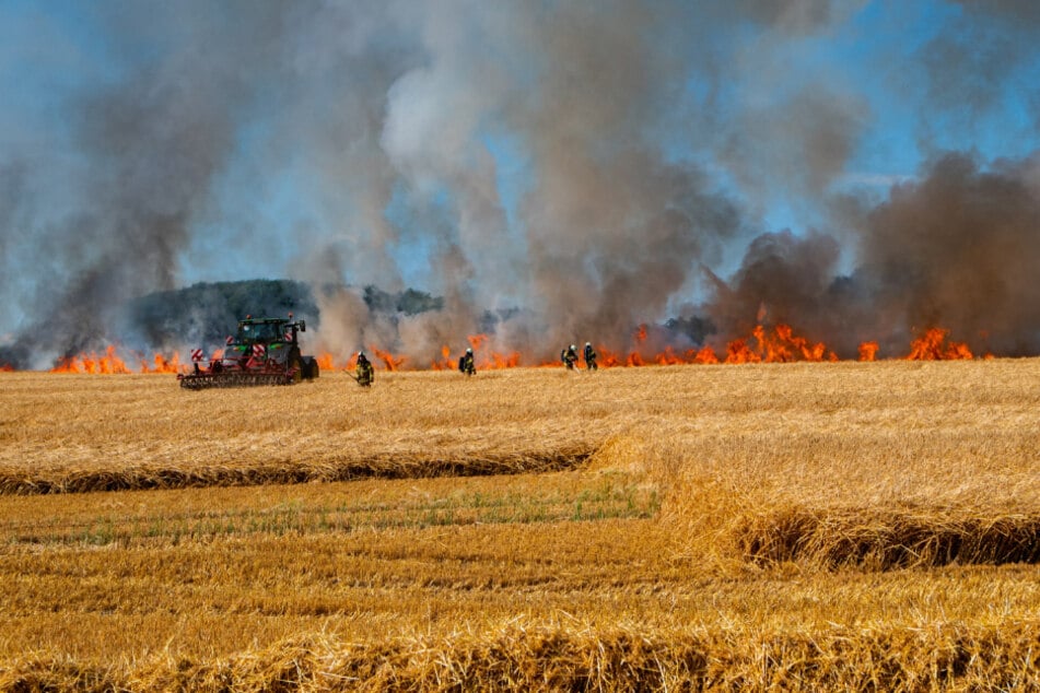 Die Feuerwehr bekam es am Freitag auf der Ostsee-Insel Fehmarn mit einem Flammen-Inferno zu tun.