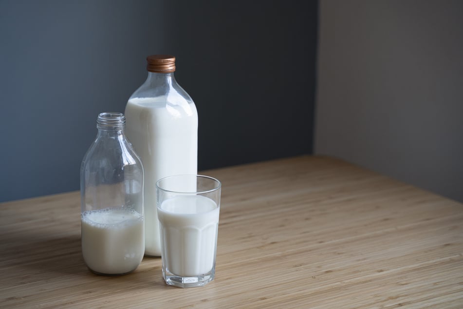 Milch taugt als Hausmittel gegen Rosenrost und Mehltau.