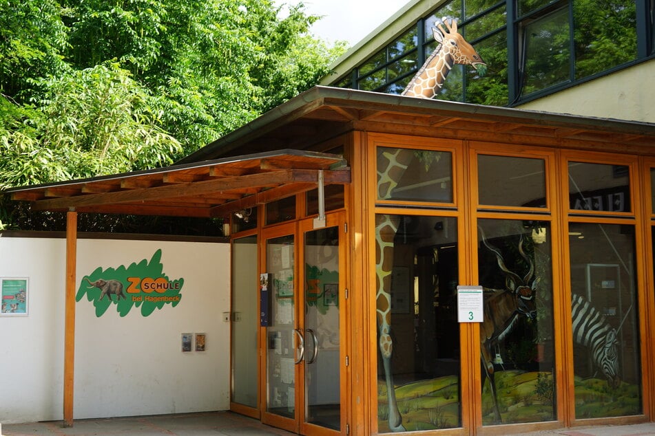 2004 zog die Zooschule aus einem Container an den prominenten Standort direkt am Haupteingang des Tierparks.