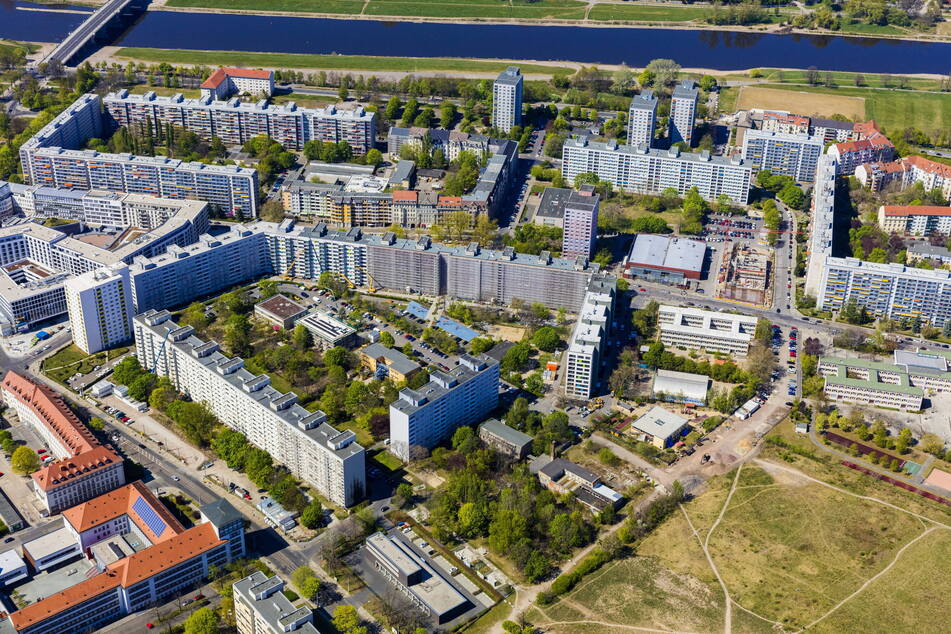 Blick auf die elbnahe Johannstadt: Die Satzung soll im gesamten Stadtgebiet gelten.
