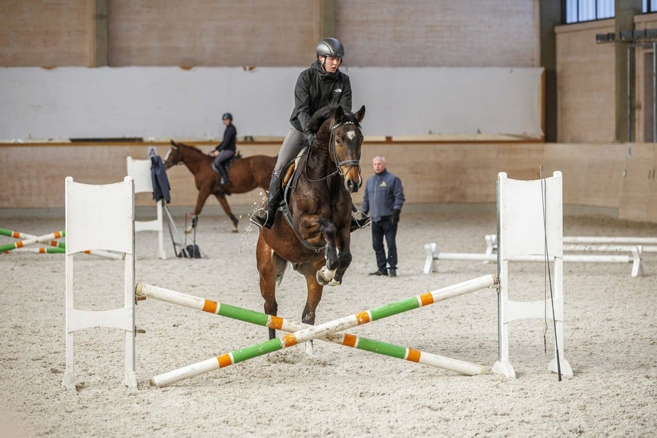 Die Multifunktions-Reithalle im Landgestüt Moritzburg wurde im Sommer dieses Jahres eröffnet. Hier trainieren Turnierpferde und Nachwuchsreiter.