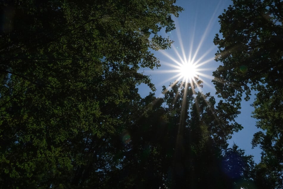 Bis zu 40 Grad können in Teilen Deutschlands am Mittwoch erreicht werden.