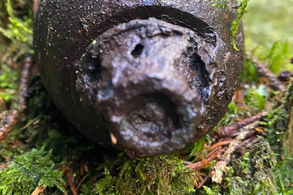 Eine Pilzsammlerin entdeckte im Vogtland eine Granate.