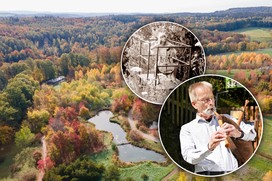 Ein schöner Brauch seit drei Jahrzehnten: Professor ehrt "Baum des Jahres" mit Musik