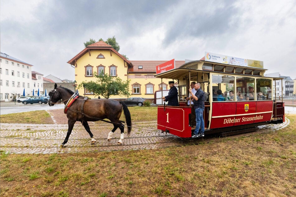 Chemnitz: Hier gibt es in Sachsen eine weltweit einmalige Pferdebahn