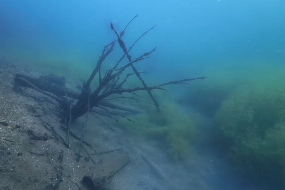 Der Kulkwitzer See ist bis zu 32 Meter tief. Die Unterwasserwelt bleibt vielen deswegen verborgen.
