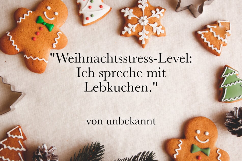 Ein guter Spruch über Stress zur Weihnachtszeit: "Weihnachtsstress-Level: Ich spreche mit Lebkuchen."