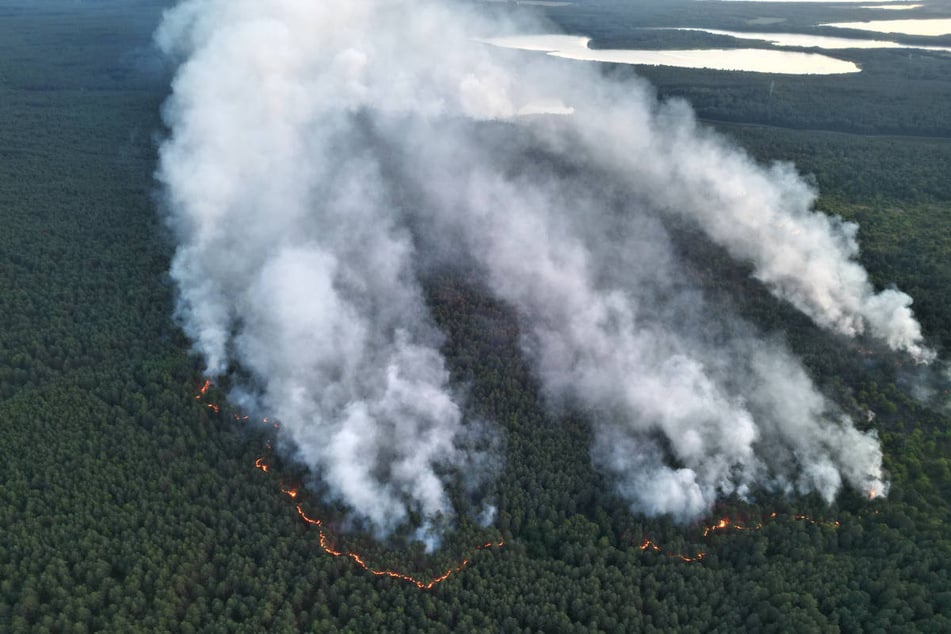 Eine Luftaufnahme zeigt die Ausmaße des Waldbrands.