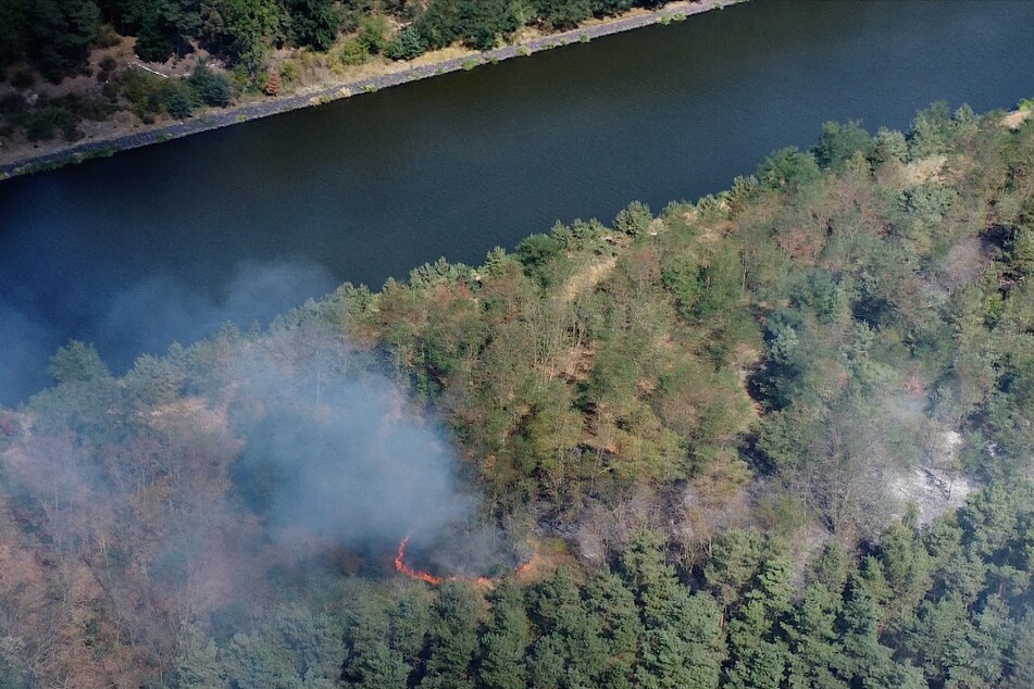 Circa 10.000 Quadratmeter Wald stehen bei Detershagen (Landkreis Jerichower Land) in Brand.