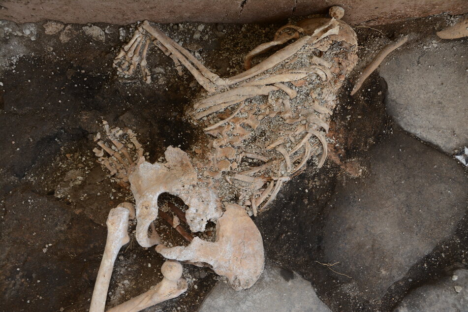 Drei Skelette fanden Archäologen bei Ausgrabungen in der versunkenen Stadt Pompeji.