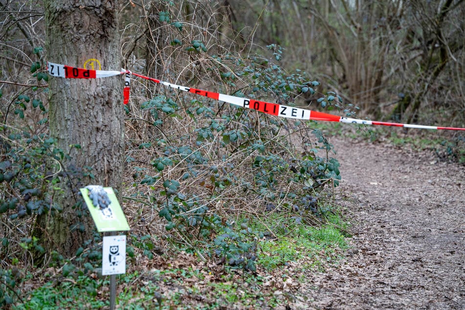 Bewusstlos im Wald gefunden: 36-Jährige inzwischen verstorben - Kripo rätselt weiter