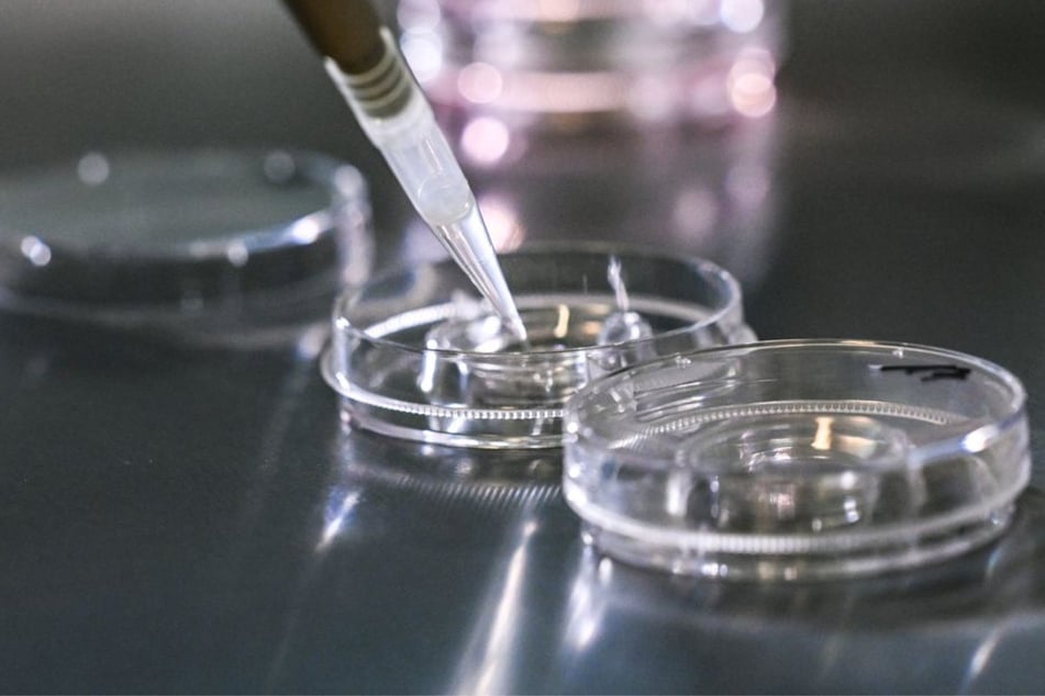 Frau bekommt in Italien falschen Embryo eingesetzt