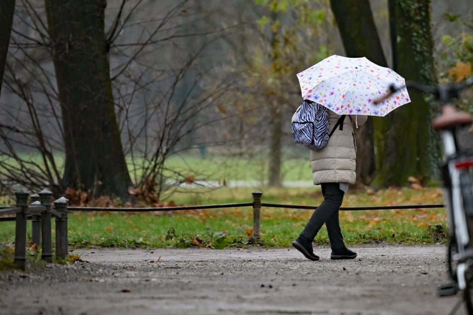 In weiten Teilen des Freistaats wird vor allem am Montag der Regenschirm zum sinnvollen Begleiter.