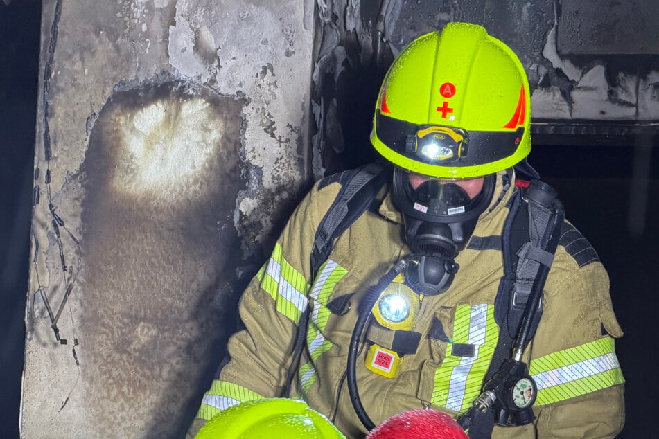 Brand-Drama in Roth: Katzen verenden in Flammen, Menschen verletzt