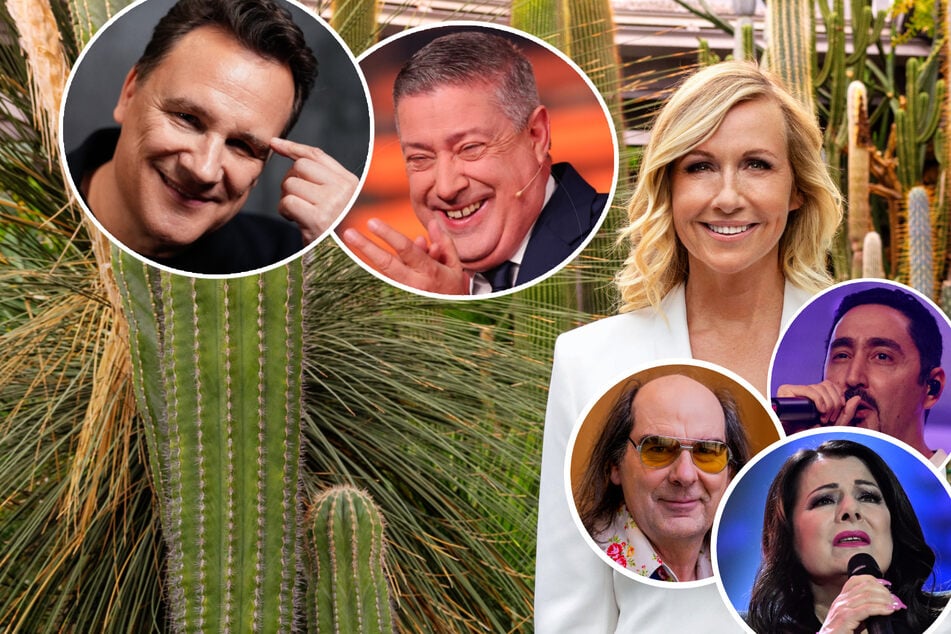 In der Jubiläumsfolge am kommenden Sonntag wird Moderatorin Andrea Kiewel (60) unter anderem Guido Maria Kretschmer (60, v.l.), Joachim Llambi (60), Guildo Horn (62), Marianne Rosenberg (70) und Eko Fresh (41) im "ZDF-Fernsehgarten" begrüßen dürfen.